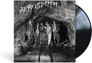 Aerosmith - Night In The Ruts