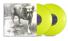 Alice In Chains - Alice In Chains (30th anniversary)