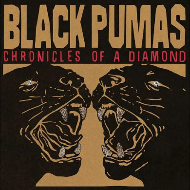 Black Pumas - Chronicles of a Diamond