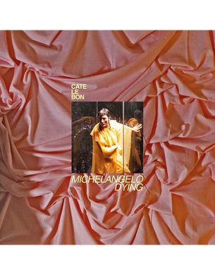 Cate Le Bon - Michaelangelo Dying