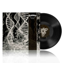 Coroner - Dissonance Theory