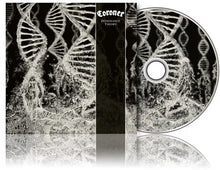 Coroner - Dissonance Theory