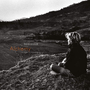 David Sylvian - Alchemy: An Index of...