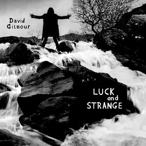 David Gilmour - Luck and Strange