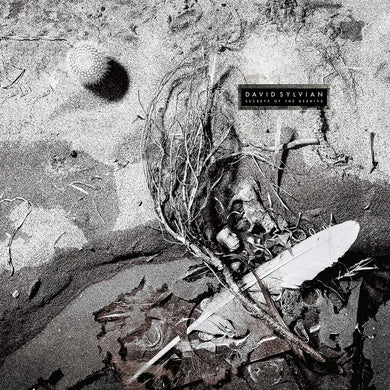 David Sylvian - Secrets of the Beehive