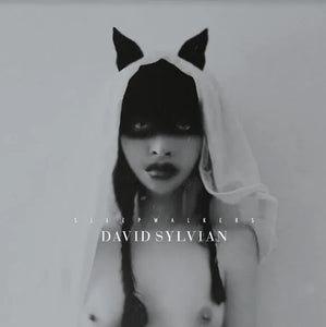 David Sylvian - Sleepwalkers