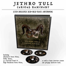 Jethro Tull - Curious Ruminant