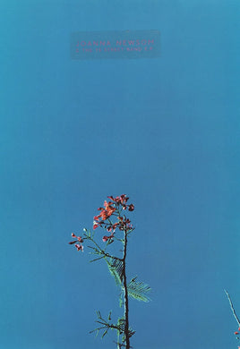 Joanna Newson - Joanna Newson & The Ys Street Band