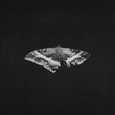 Kendrick Lamar - To Pimp a Butterfly (10th anniversary)