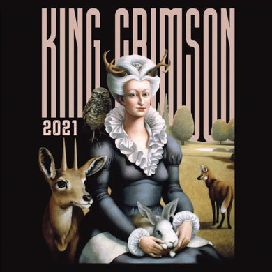 King Crimson - Music Is Our Friend (Live in Washington and Albany, 2021)