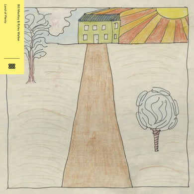 Bill Mackey, Ryley Walker - Land of Plenty