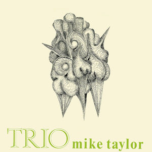 Mike Taylor - Trio