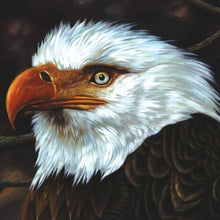 Mogwai - The Hawk Is Howling
