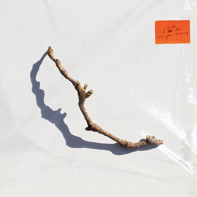 PJ Harvey - I Inside The Old Dying