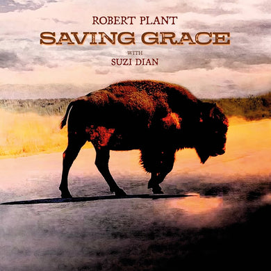 Robert Plant - Saving Grace