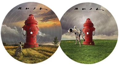 Rush - Signals (40th)
