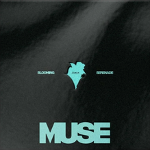 Jimin (BTS) - Muse