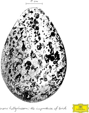 Snorri Hallgrímsson - The Importance of Birds