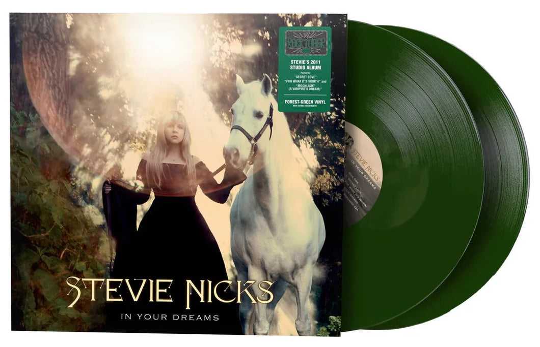 Stevie Nicks - In Your Dreams