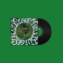 Supersport! - Húsið mitt