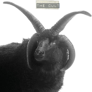 Cult - The Cult