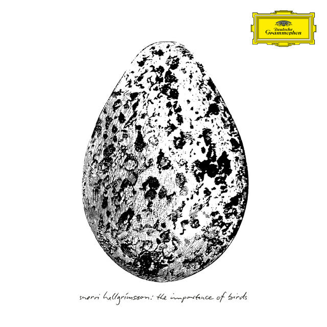 Snorri Hallgrímsson - The Importance of Birds