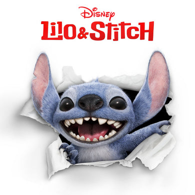 Ýmsir - Lilo & Stitch (OST)
