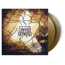 Lynyrd Skynyrd - Last Of A Dyin' Breed