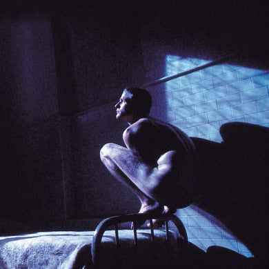 Peter Gabriel - Birdy / OST