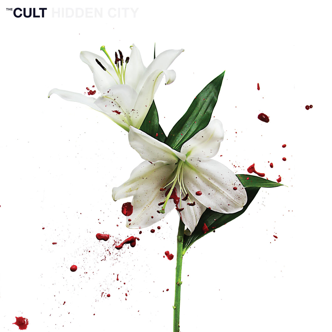 Cult - Hidden City