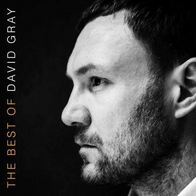 David Gray - Best of David Gray