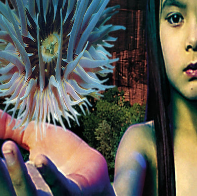 Future Sound Of London - Lifeforms