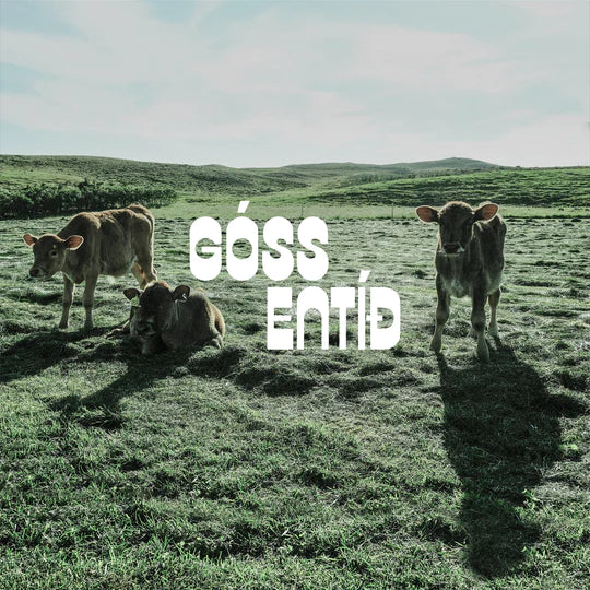GÓSS - Entíð
