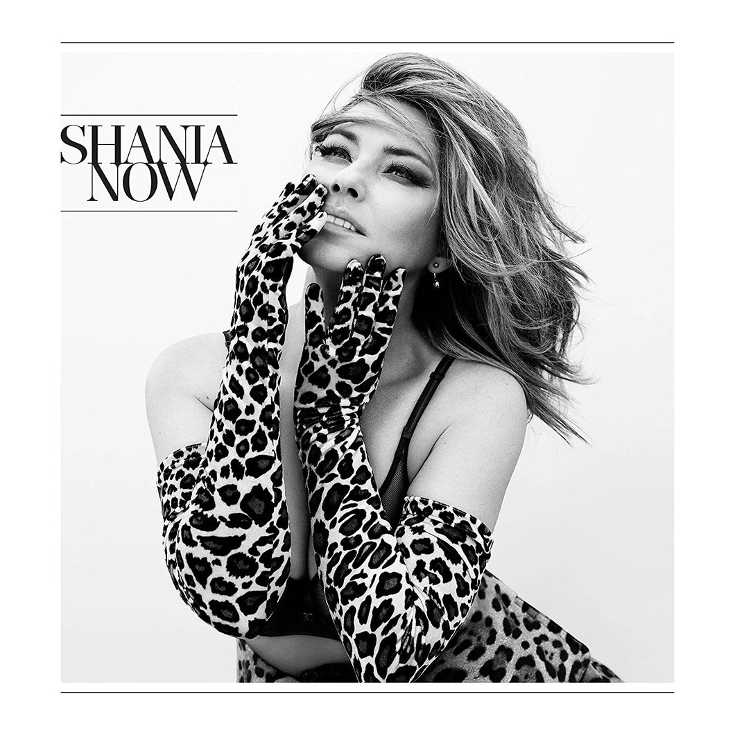 Shania Twain - Now ..