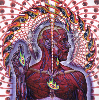 Tool - Lateralus