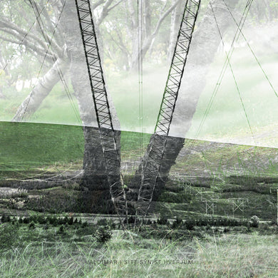 Valdimar - Sitt sýnist hverjum