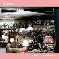 Megas & Senuþjófarnir - Frágangur