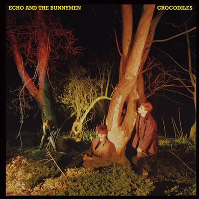 Echo and the Bunnymen - Crocodiles
