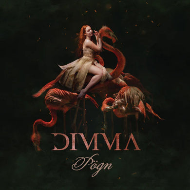 Dimma - Þögn