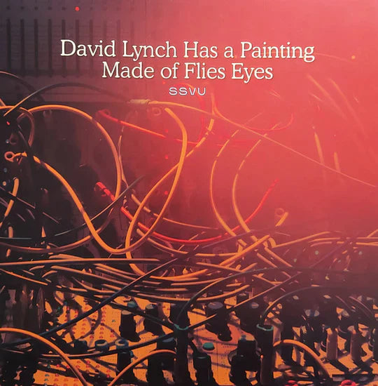 SSVU (Silversun Pickups) - David Lynch Has a Painting../Suzanne. 7